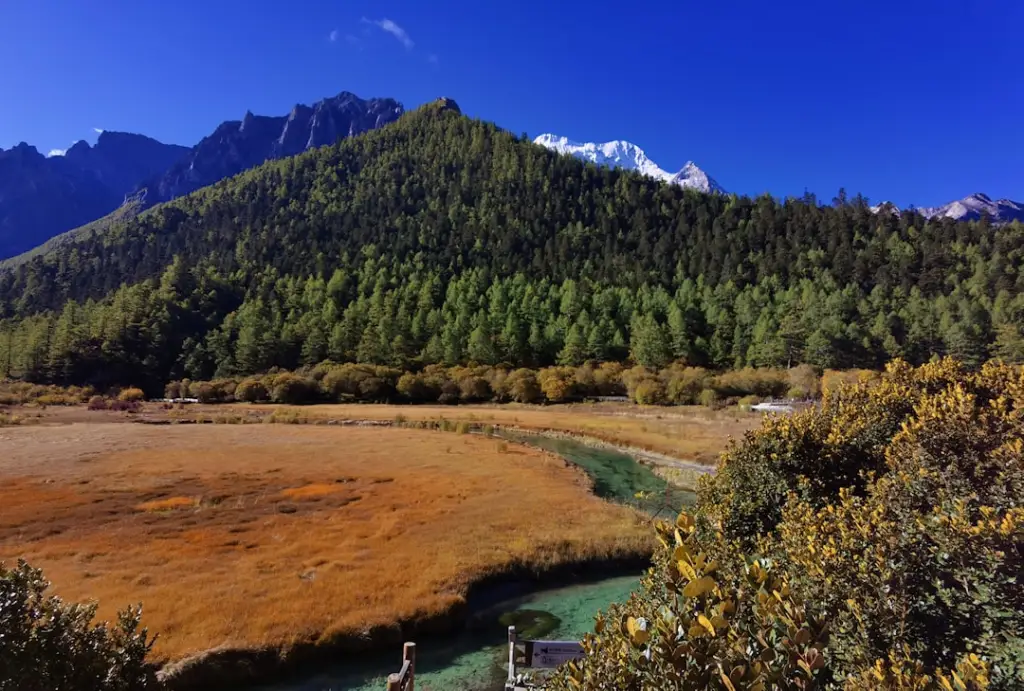 河南建设工程审计常见问题与全过程造价控制要点解析