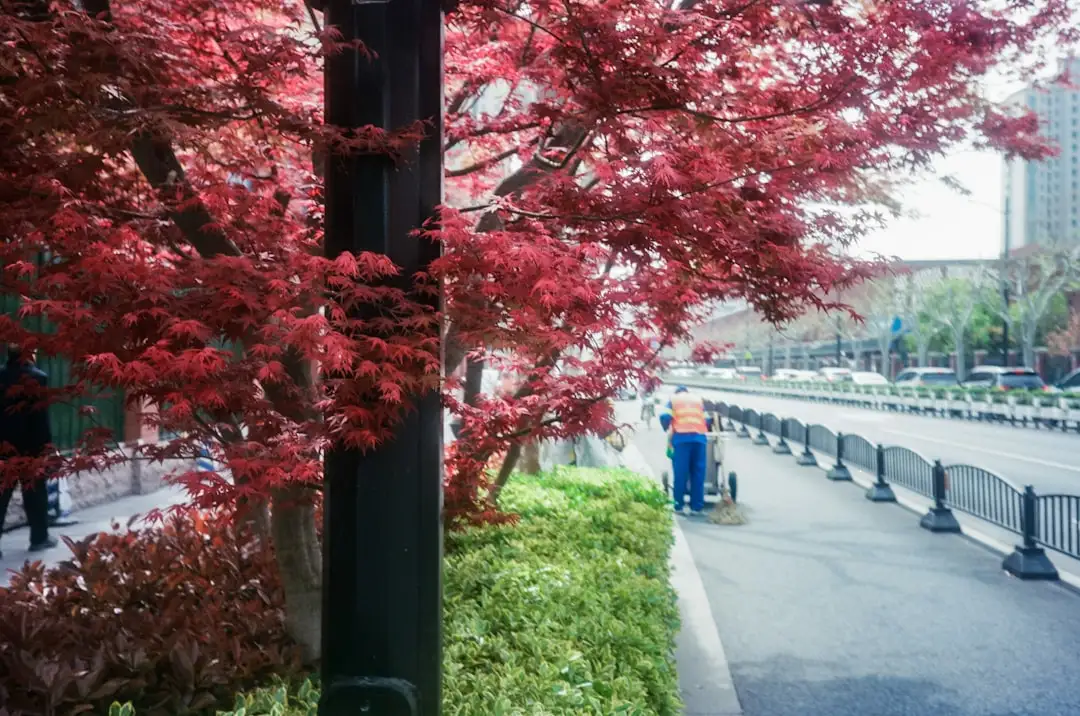 建筑工程造价咨询全流程解析：从工程预算编制到竣工结算审核